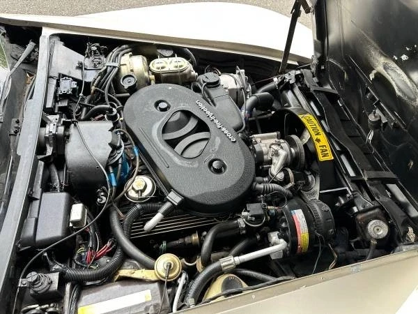 1982 Chevrolet Corvette C3 - Image 3 of 18