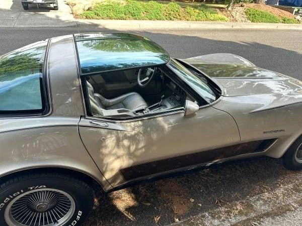 1982 Chevrolet Corvette C3 - Image 18 of 18