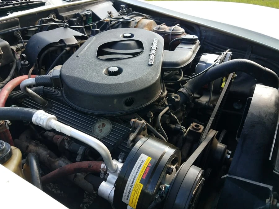 1982 Chevrolet Corvette C3 - Image 8 of 12