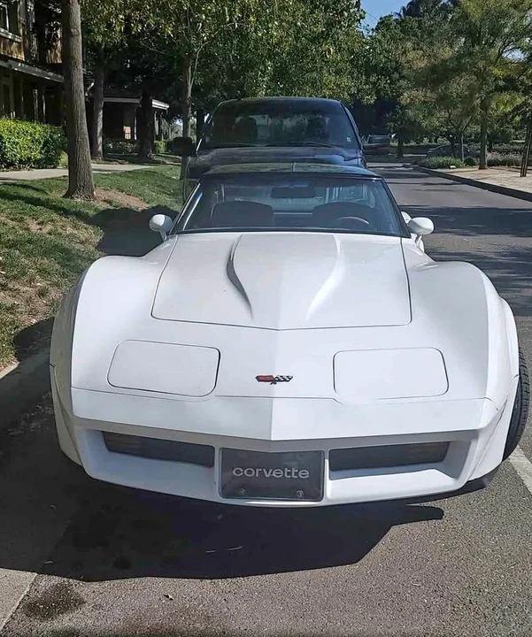 1982 Chevrolet Corvette C3 - Image 1 of 9