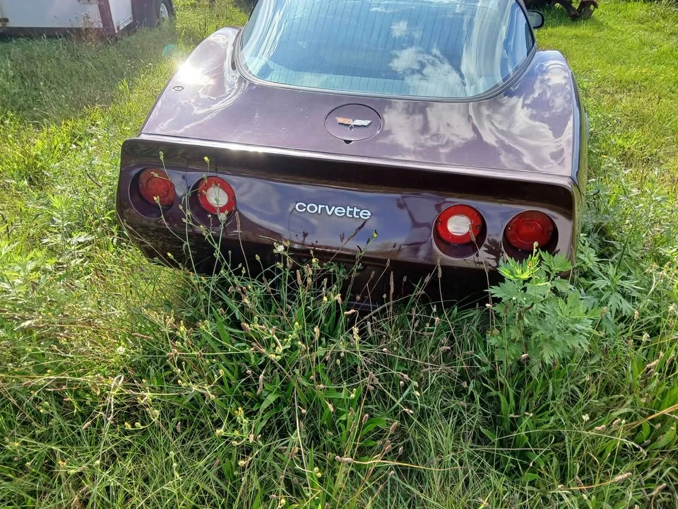 1982 Chevrolet Corvette C3 - Image 4 of 7