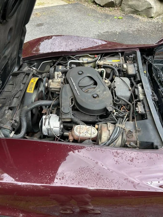 1982 Chevrolet Corvette C3 - Image 5 of 9