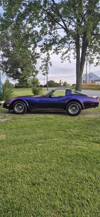 1982 Chevrolet Corvette C3 - Image 6 of 8