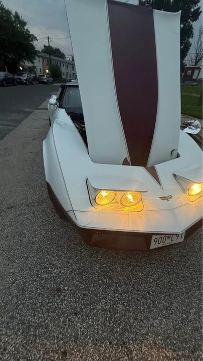1982 Chevrolet Corvette C3 - Image 13 of 15