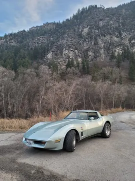 1982 Chevrolet Corvette C3 - Image 2 of 8