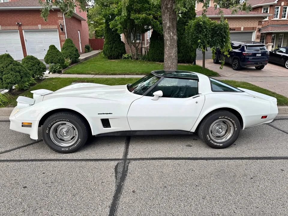 1982 Chevrolet Corvette C3 - Image 1 of 13