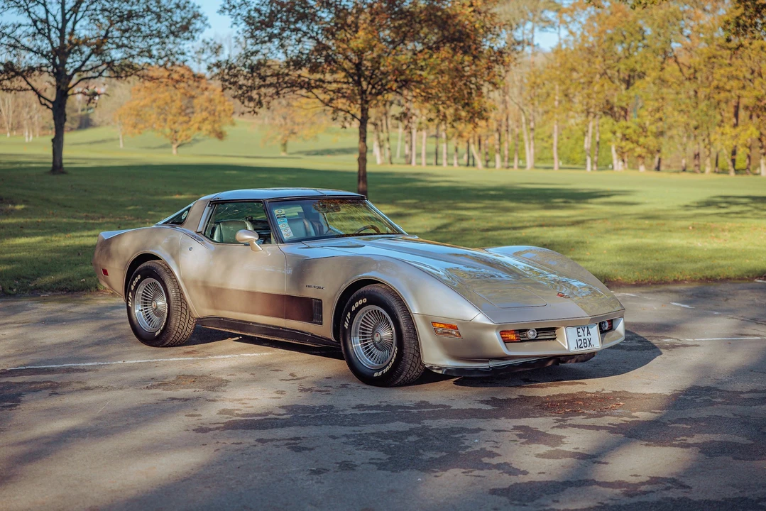 1982 Chevrolet Corvette C3 - Image 11 of 21