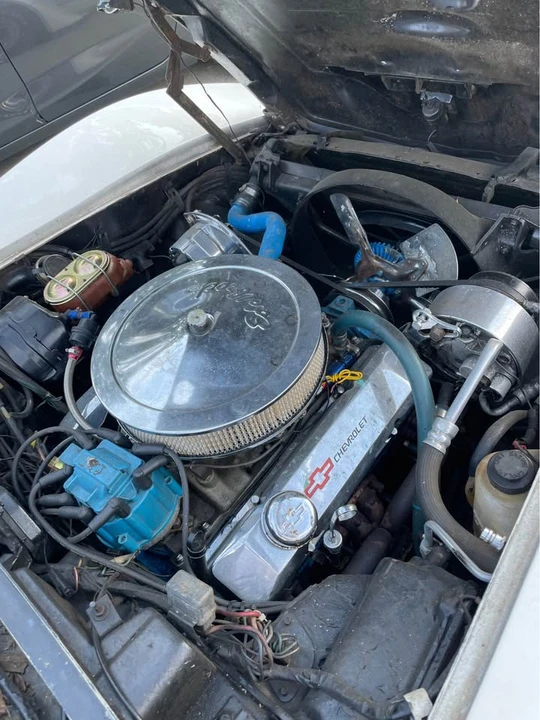 1982 Chevrolet Corvette C3 - Image 16 of 17