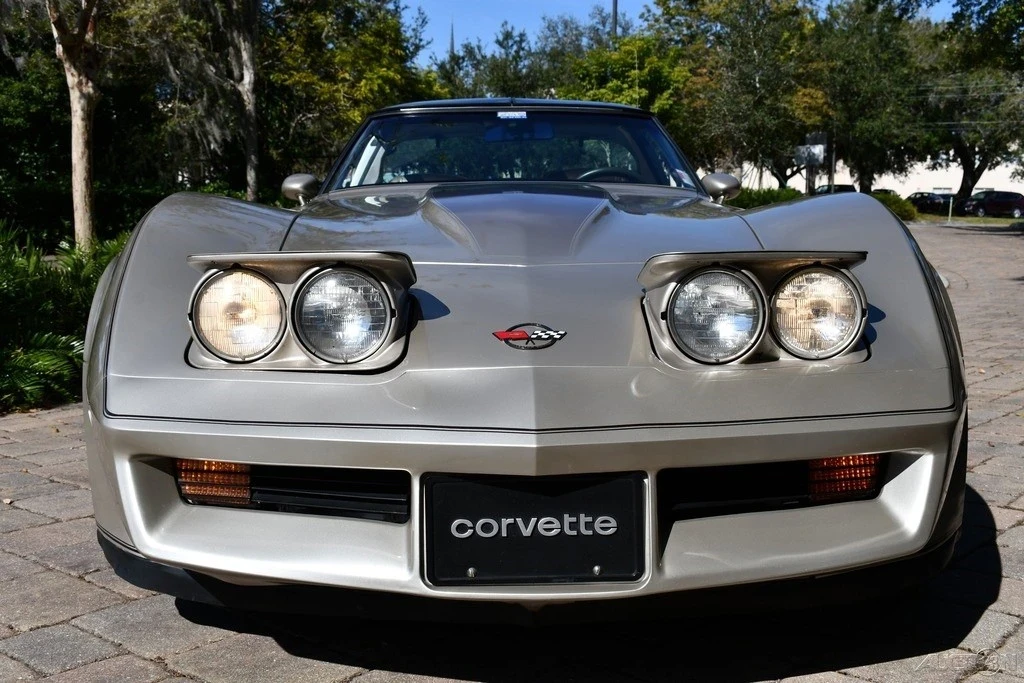 1982 Chevrolet Corvette C3 - Image 8 of 21