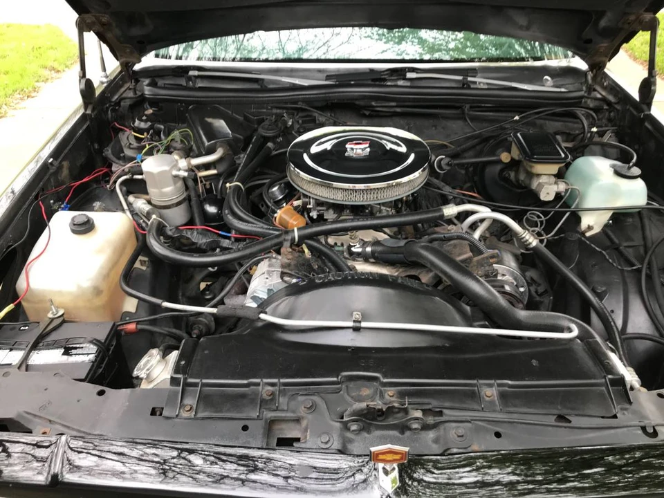 1982 Chevrolet El Camino 5th Gen - Image 9 of 10