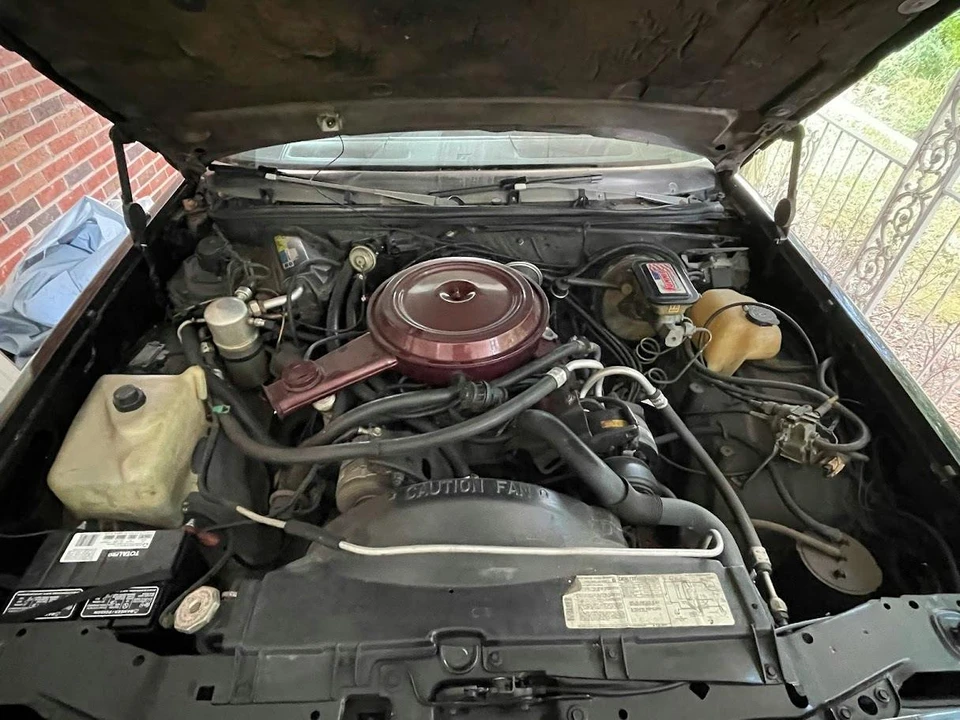 1982 Chevrolet El Camino 5th Gen - Image 4 of 9