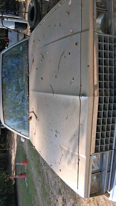 1982 Chevrolet El Camino 5th Gen - Image 5 of 5