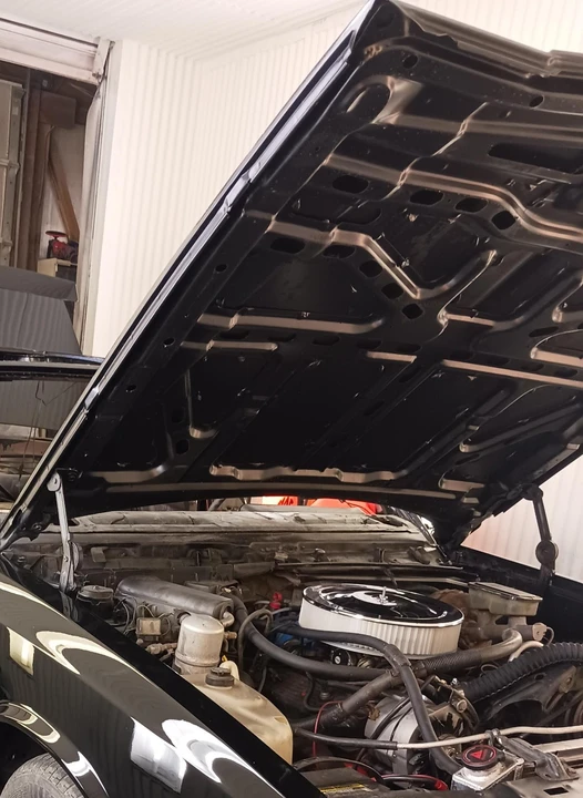 1982 Chevrolet Monte Carlo 4th Gen - Image 16 of 20