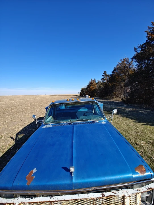 1982 Chevrolet C/K 3rd Gen - Image 6 of 21
