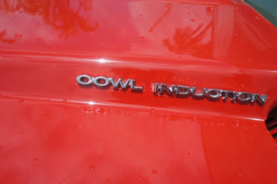 1982 Chevrolet S-10 - Image 30 of 31