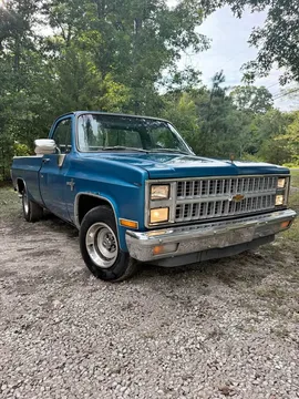 1982 Chevrolet Silverado C10