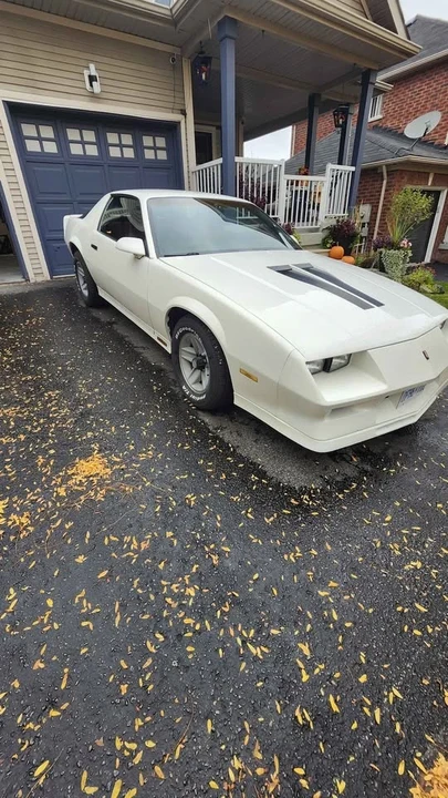 1982 Chevrolet Camaro 3rd Gen - Image 2 of 12