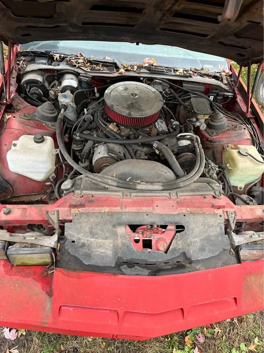 1982 Chevrolet Camaro 3rd Gen - Image 6 of 8