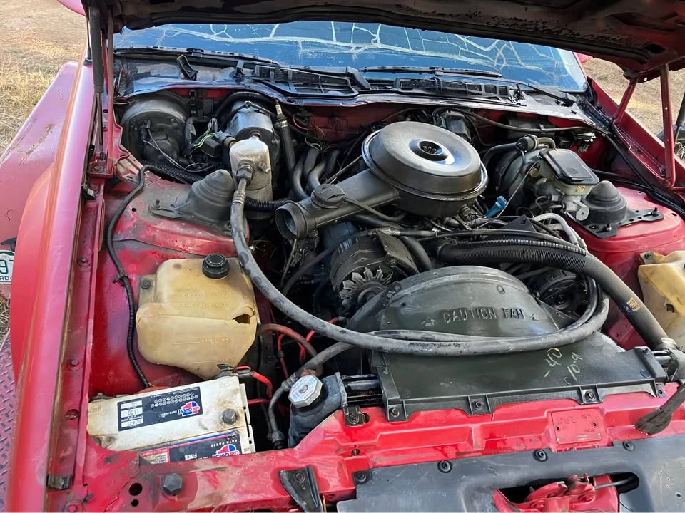 1982 Chevrolet Camaro 3rd Gen - Image 11 of 14
