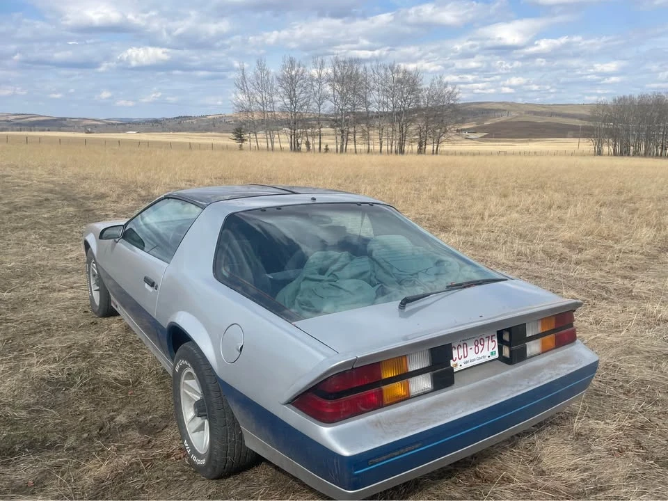 1982 Chevrolet Camaro 3rd Gen - Image 5 of 8
