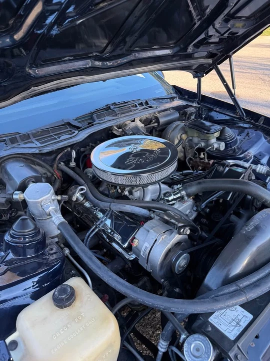 1982 Chevrolet Camaro 3rd Gen - Image 10 of 15