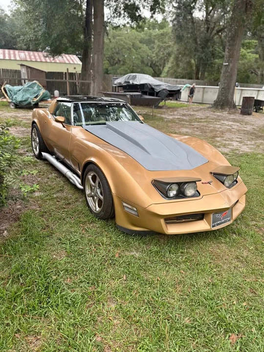 1982 Chevrolet Corvette C3 - Image 1 of 9