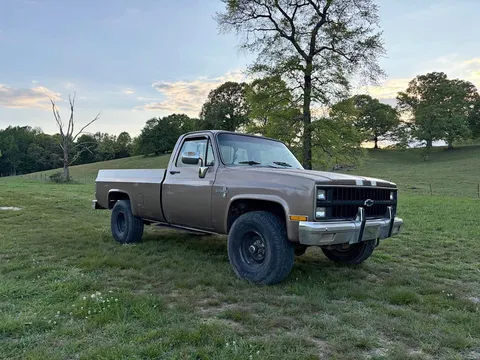1982 Chevrolet C10