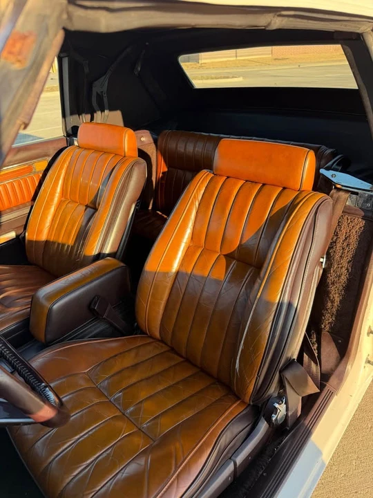 1982 Chrysler LeBaron - Image 8 of 11