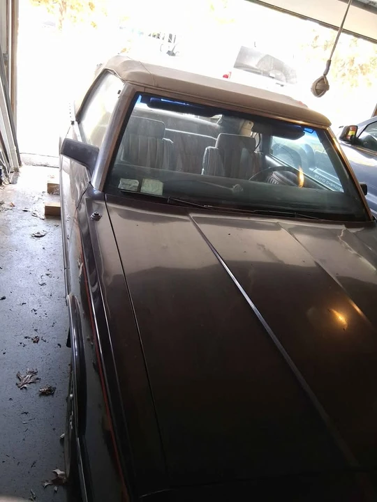 1982 Chrysler LeBaron - Image 4 of 10