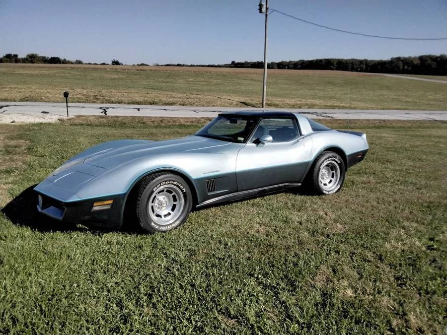 1982 Chevrolet Corvette C3 - Image 10 of 11