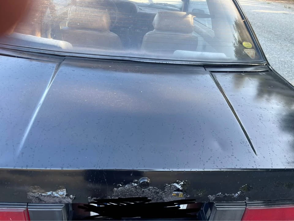 1982 Nissan S110 Silvia - Image 4 of 4