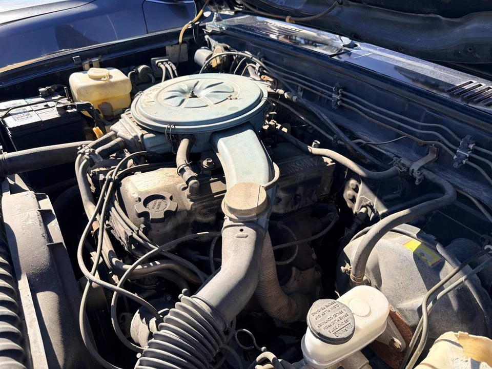 1982 Nissan Frontier - Image 3 of 11