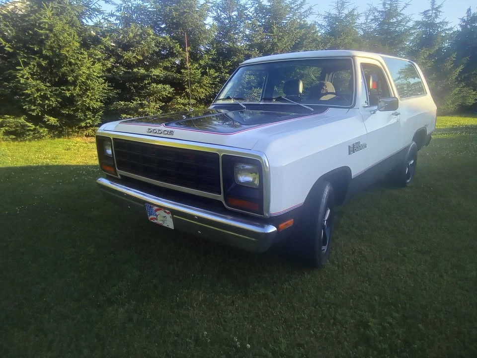 1982 Dodge Ramcharger - Image 2 of 19