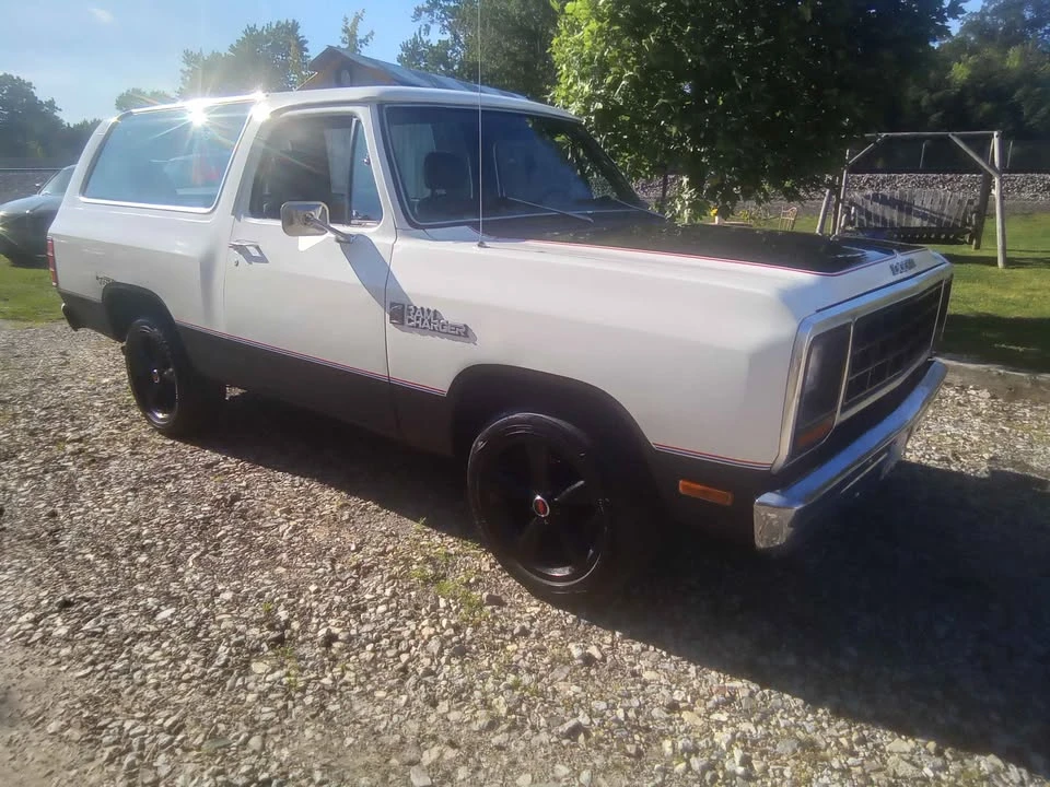 1982 Dodge Ramcharger - Image 4 of 19