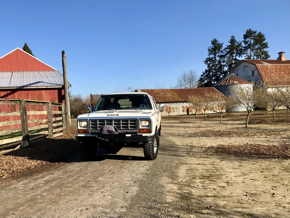 1982 Dodge Ramcharger - Image 4 of 31