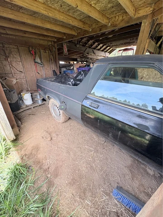 1982 Dodge Rampage - Image 3 of 6