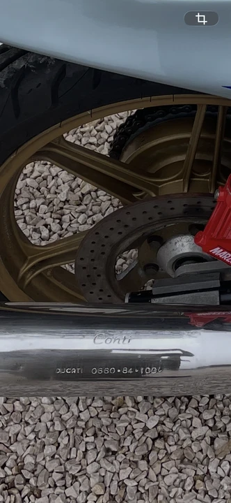 1982 Ducati - Image 9 of 30