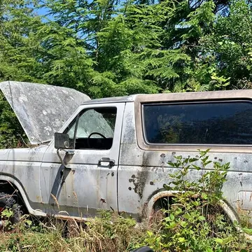 1982 Ford Bronco