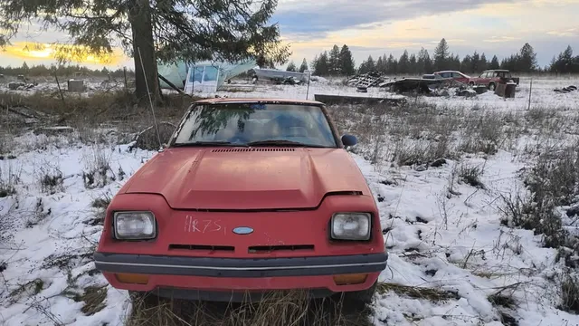 1982 Ford Escort GT Hatchback 2D