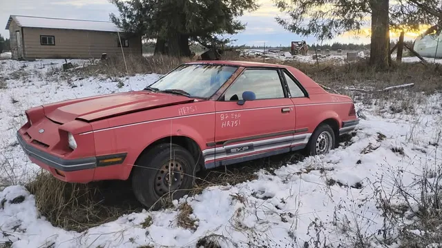 1982 Ford Escort (North America) - Image 3 of 5