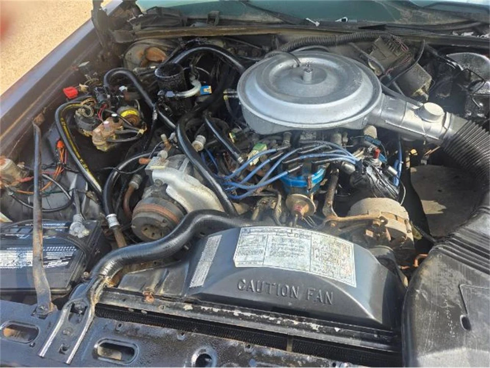 1982 Ford LTD - Image 11 of 20