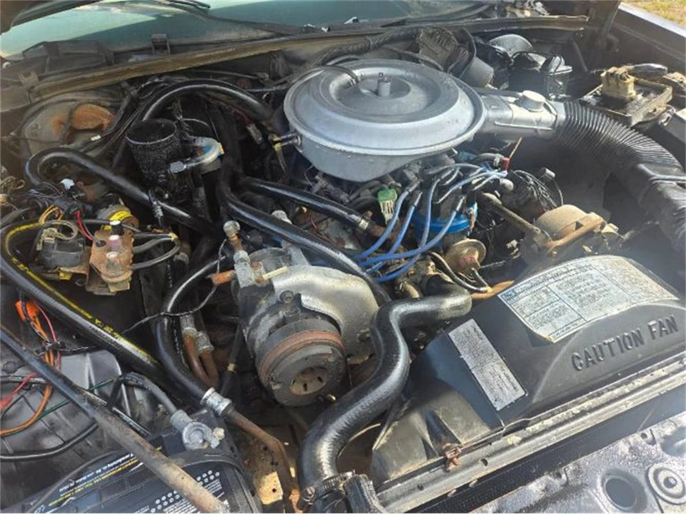 1982 Ford LTD - Image 12 of 20
