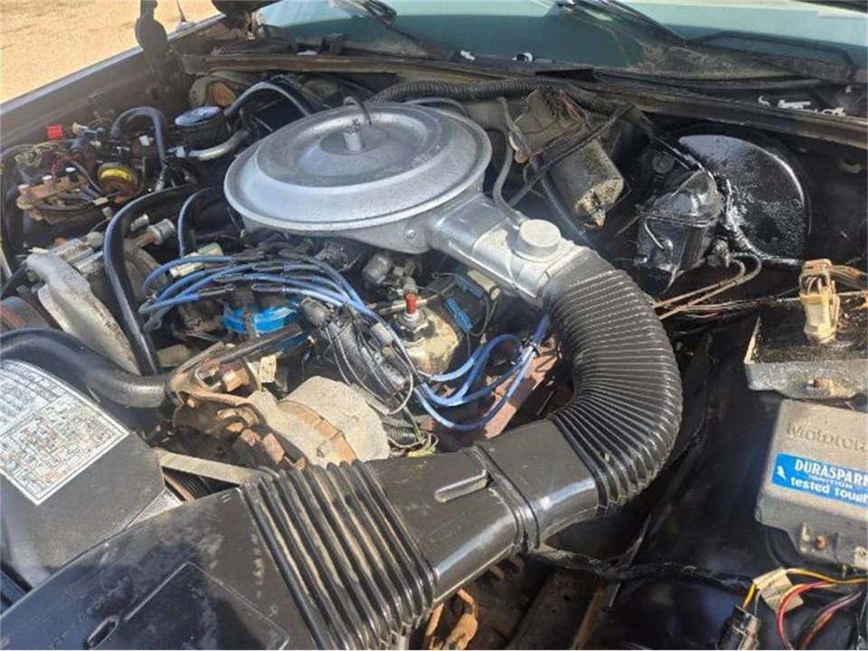 1982 Ford LTD - Image 13 of 20