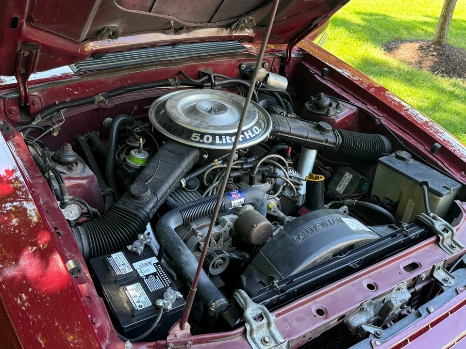 1982 Ford Mustang 3rd Gen - Image 24 of 29