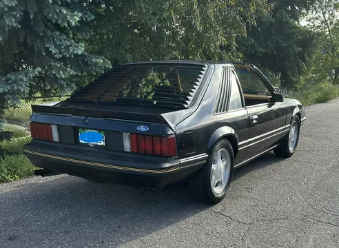 1982 Ford Mustang GHIA T-Top Roof Section and Doors