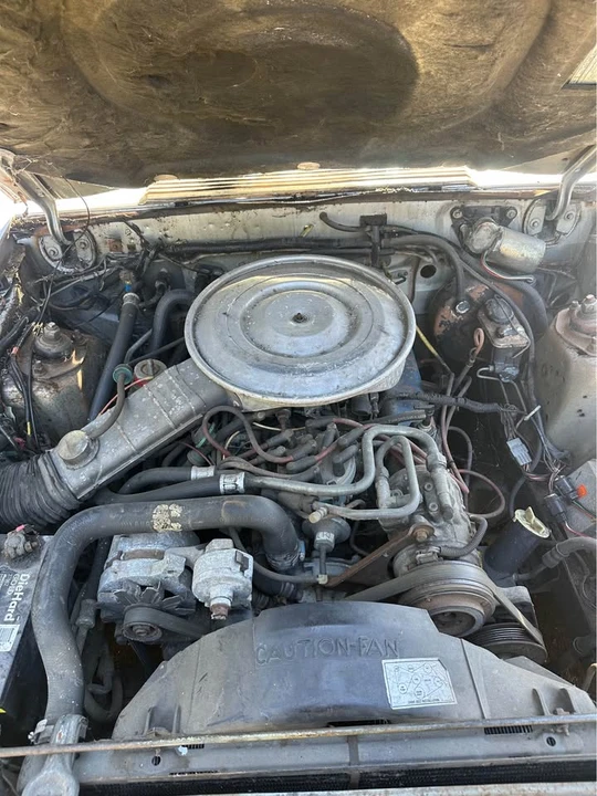 1982 Ford Mustang 3rd Gen - Image 11 of 11