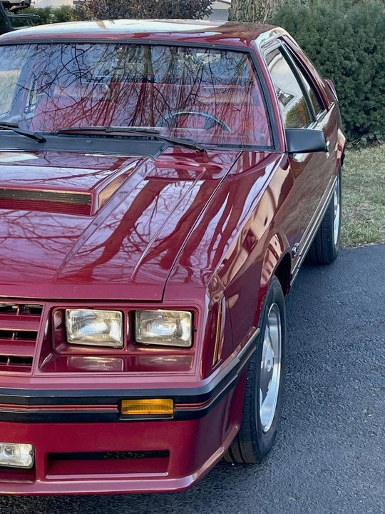 1982 Ford Mustang GT 3rd Gen - Image 30 of 31