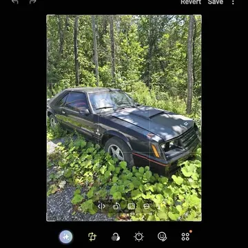 1982 Ford Mustang GT 5.0