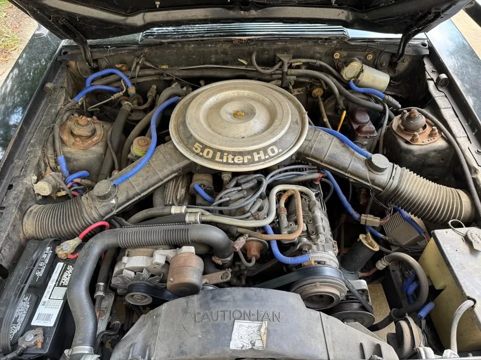 1982 Ford Mustang GT 3rd Gen - Image 9 of 11