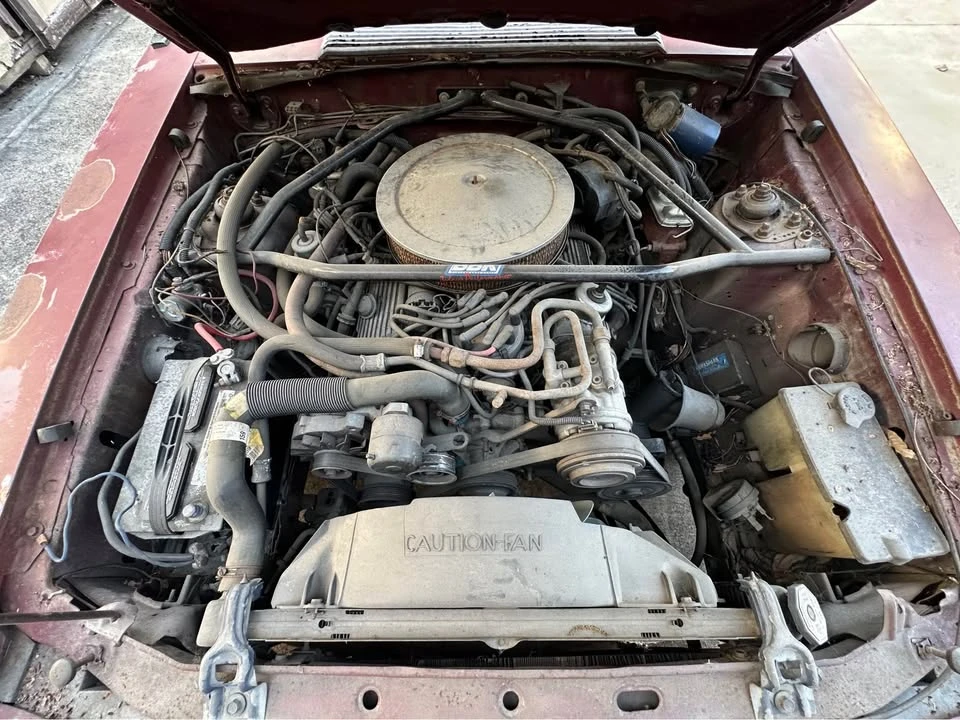 1982 Ford Mustang GT 3rd Gen - Image 14 of 15